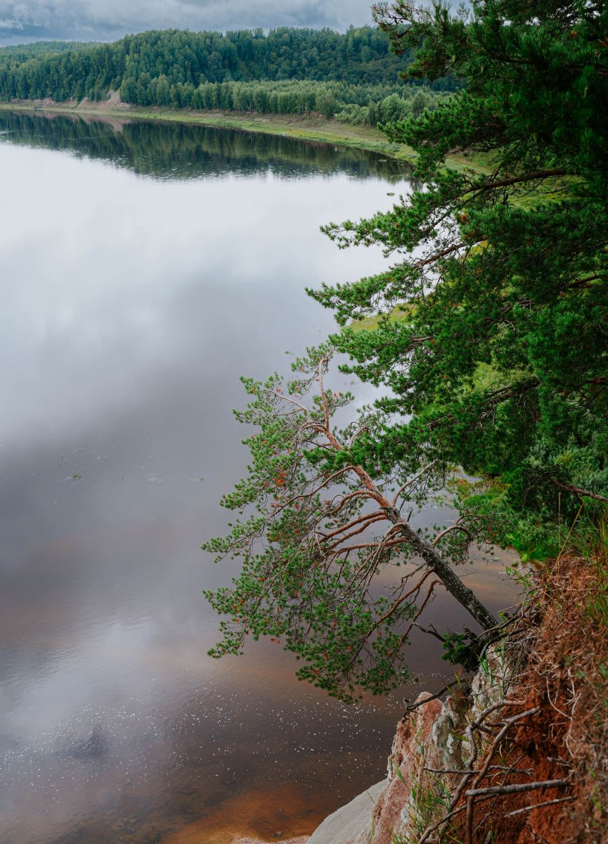 Памятник природы 